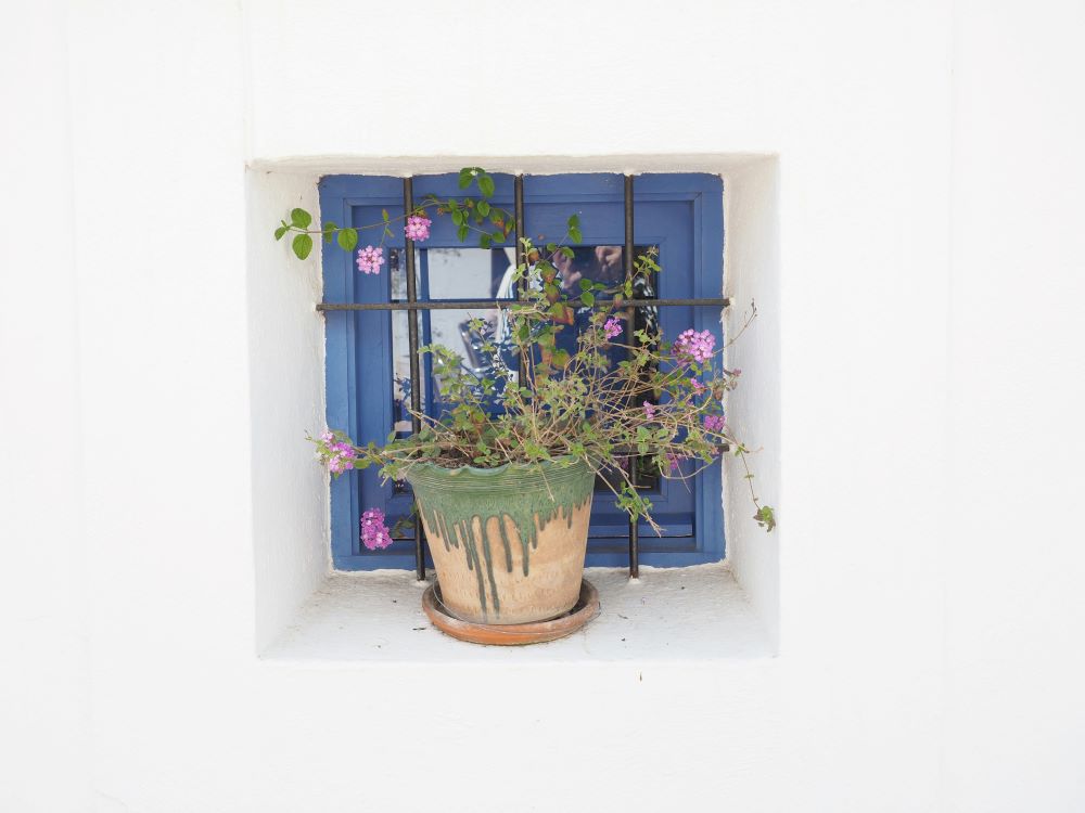 guia comprar viviendas en ibiza